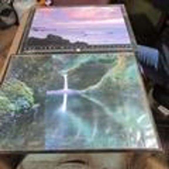 Two 16X20 wall pictures