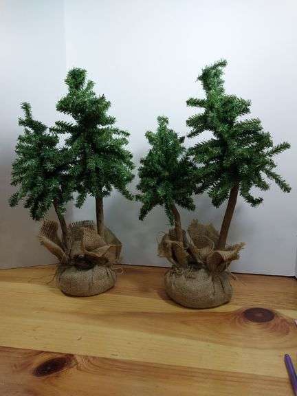 Set of 2 Double Trunk Faux Christmas Trees in Burlap Base