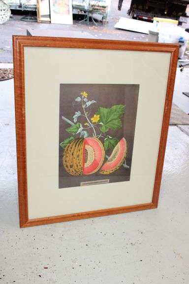 Framed Botanical Print