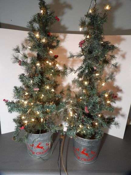 Christmas Trees