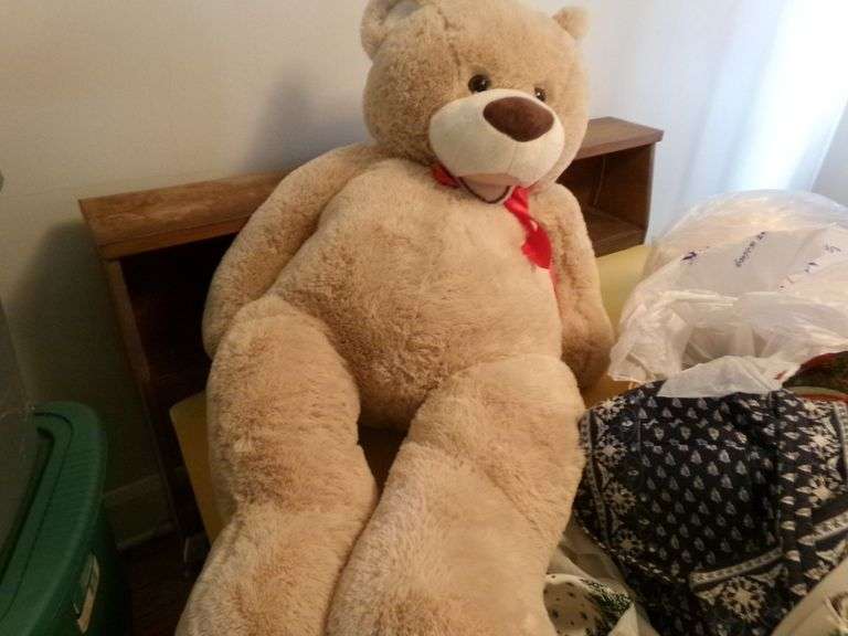 Misc. Household, Picture Frames, Place Mats, Stuffed Bear, Books, Small Air Purifier, Blanket