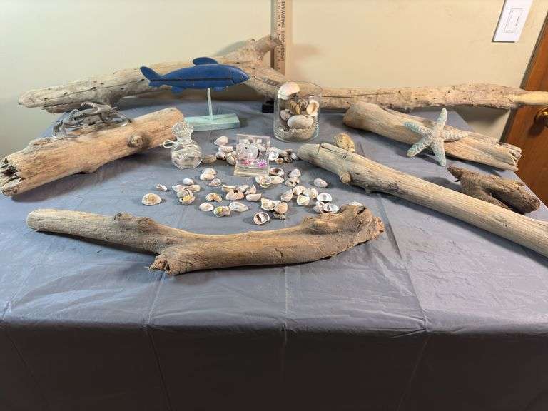 Driftwood & Sea Life Lot