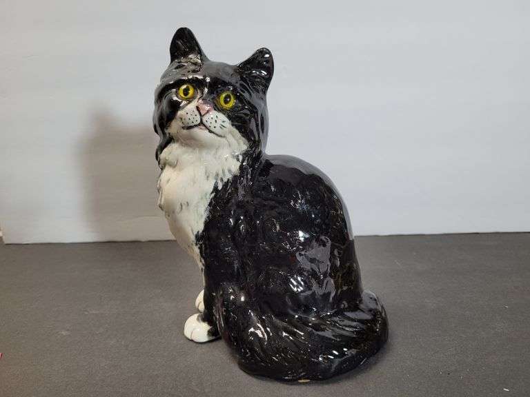 Black and White Kitty Looking Excited to See You. Un-marked.