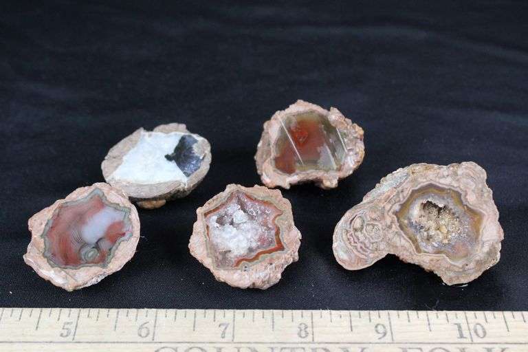Cut Geodes & Thundereggs - Auction Ohio