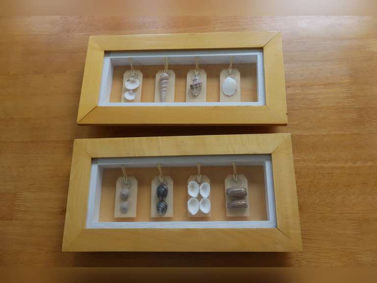 Shadowbox Seashell Art