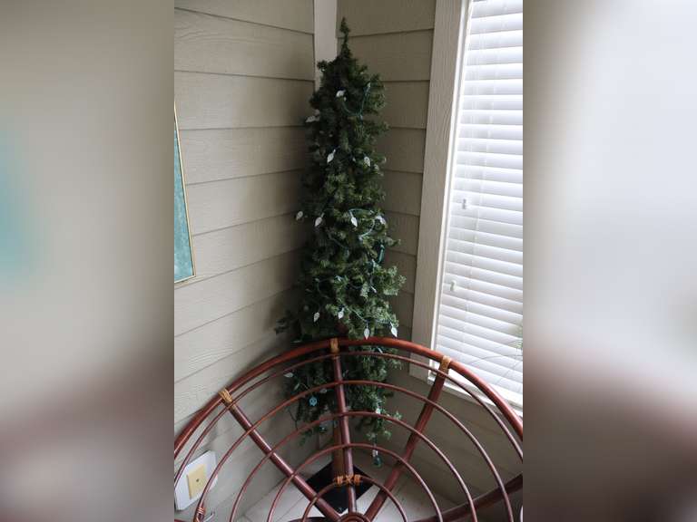 Lighted Christmas Tree