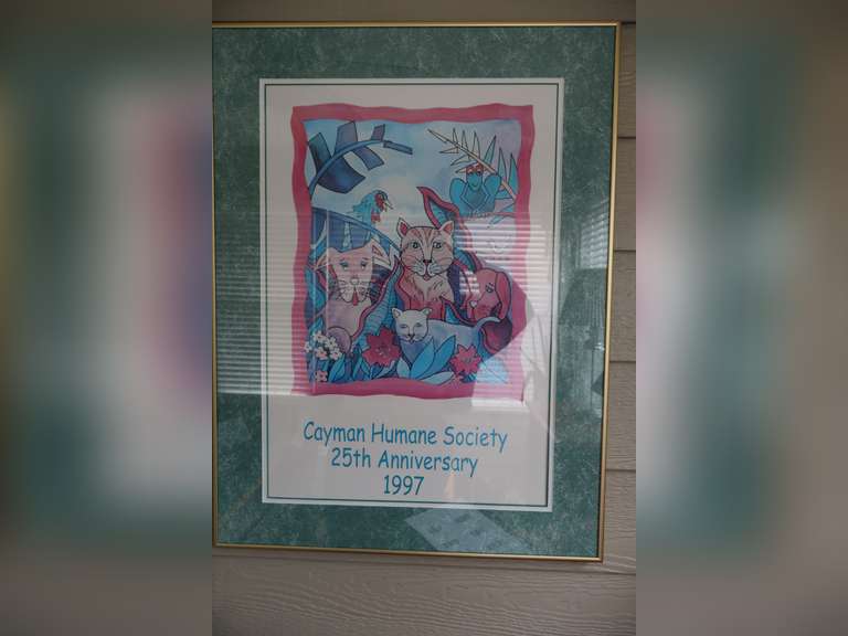 Framed Humane Society Poster
