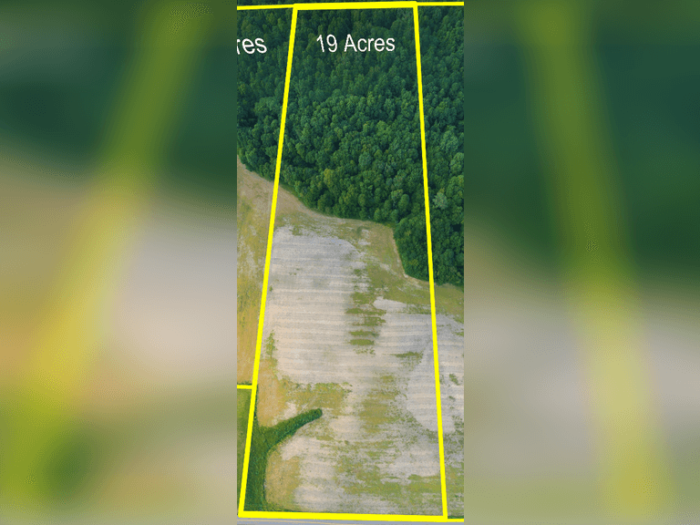 Tract 2 - 19.468 Acres
