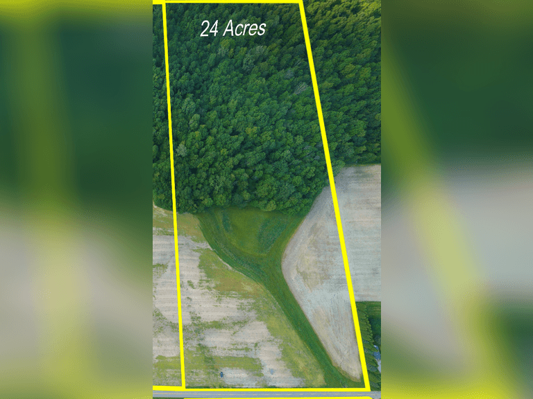 Tract 3 - 24.785 Acres