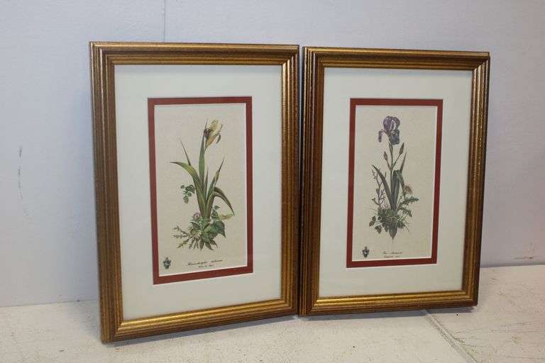 Framed Botanical Prints