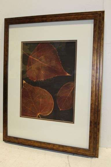 Framed Leaf Print