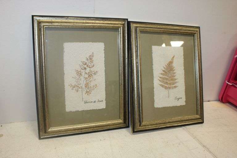 Framed Botanical Prints