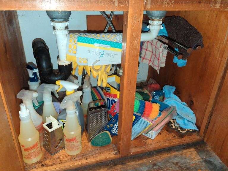 Collection of Various Cleaning Products.