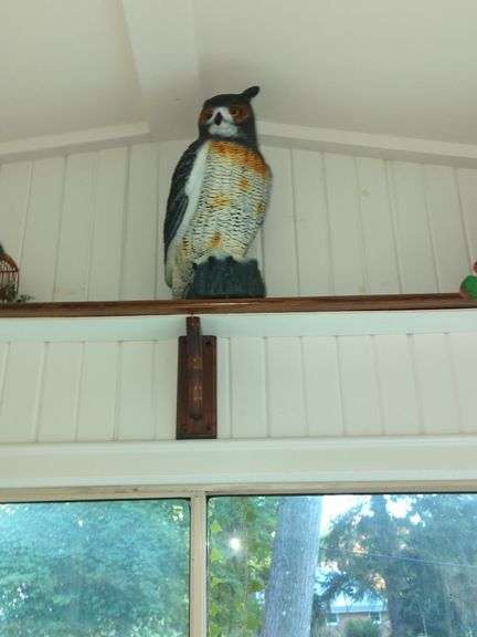 Owl Figurine