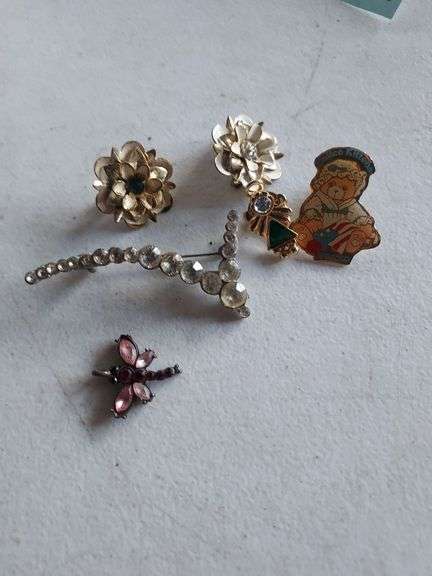 Pins and Brooch
