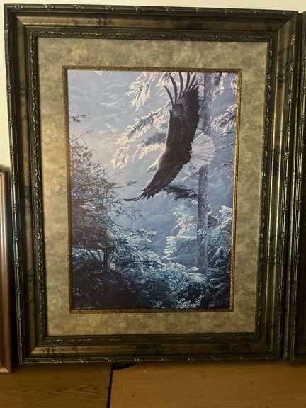 Beautifully Framed Eagle Print
