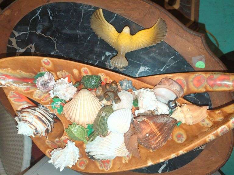 Collection of Seashells