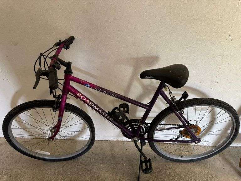 Roadmaster Bike