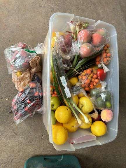 Totes Produce Large tote of decorative plastic fruit and produce - Auction Ohio