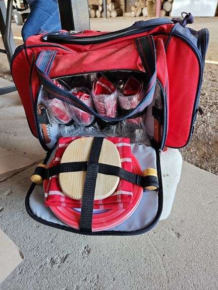Aero Engery Pincic Bag & Contents New