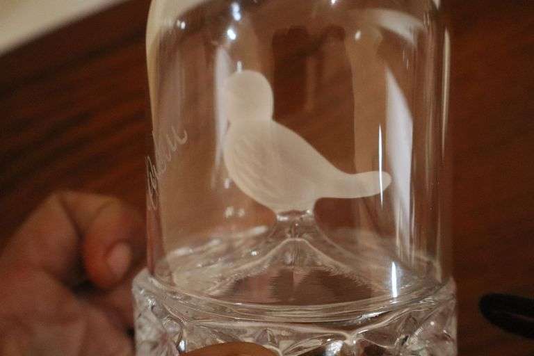 Hofbauer Crystal Bird in Case