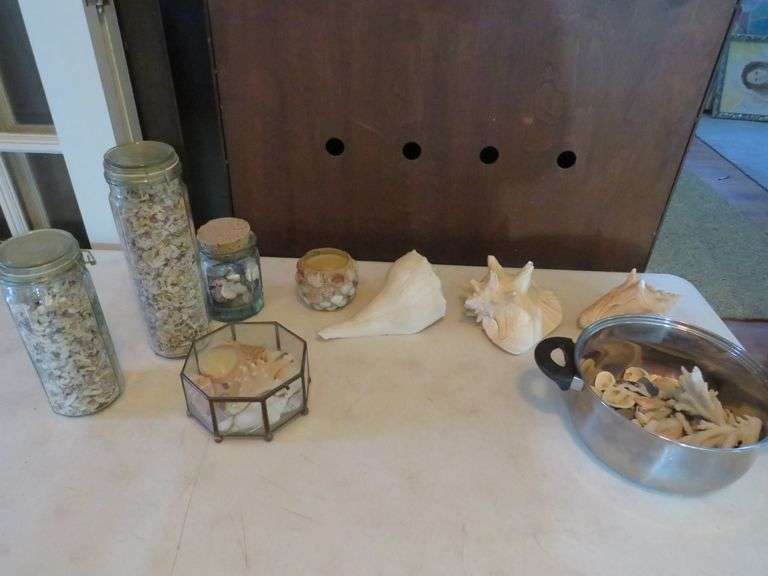 Variety of seashells