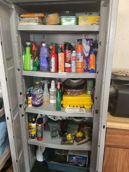 Suncast Storage Cabinet w/ Contents