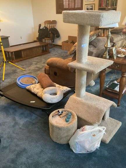 Cat Condo / Bed & Toys