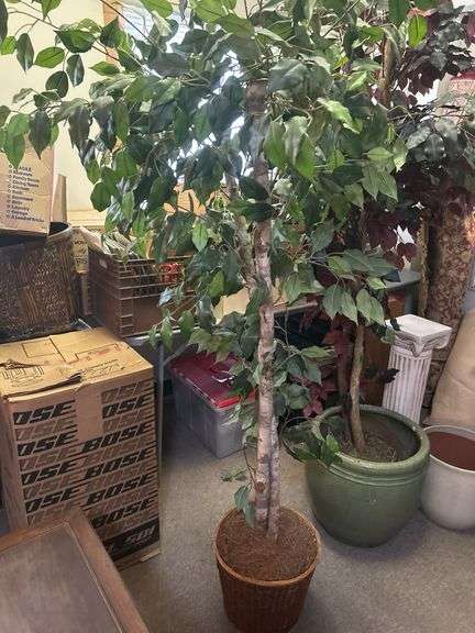 Faux Ficus Tree