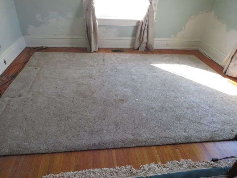 Large Area Rug