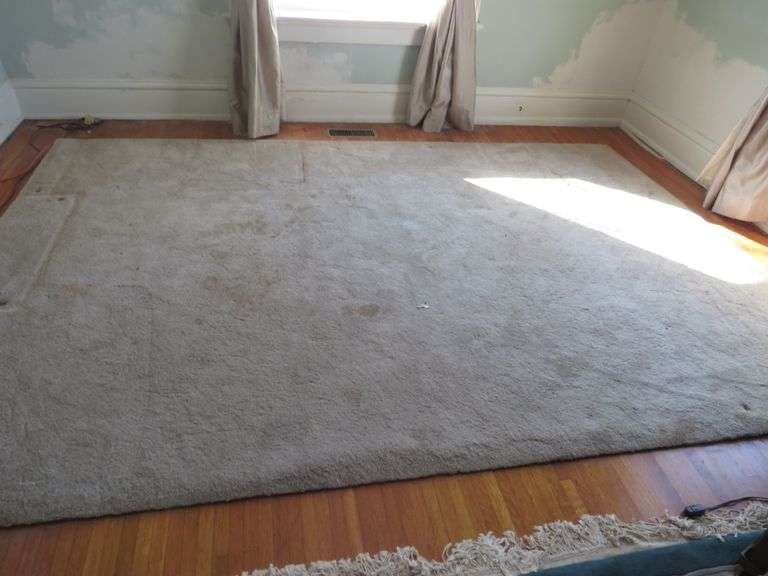 Large Area Rug
