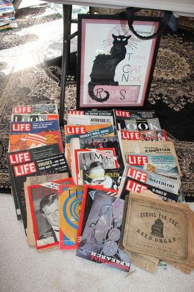 Magazines & Cat Print