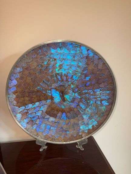Unusual Morpho butterfly wing hanging plate