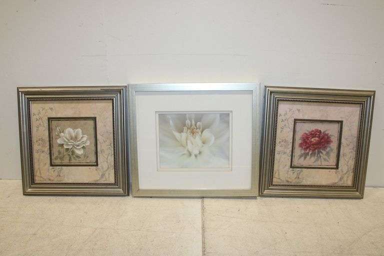 Framed Floral Prints