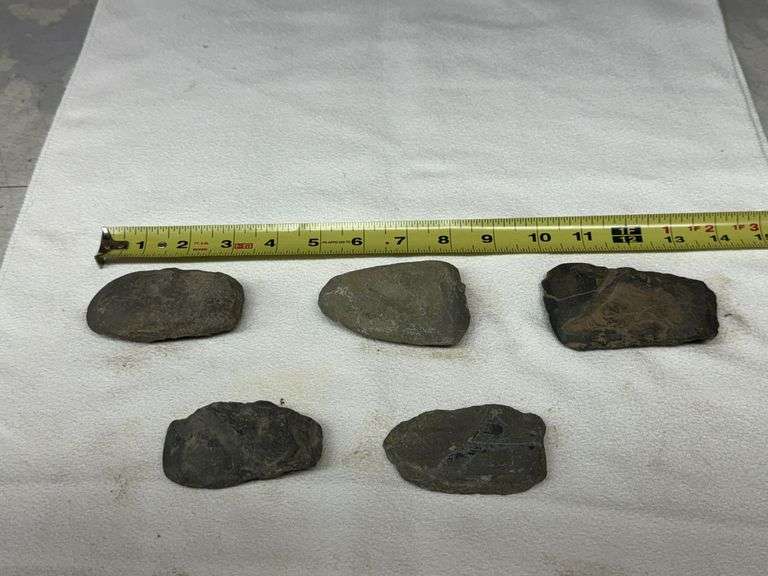 Ten Flat Stone Fragments of Various Sizes