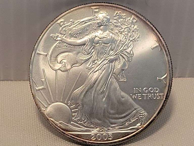 2003 Silver Eagle - BU