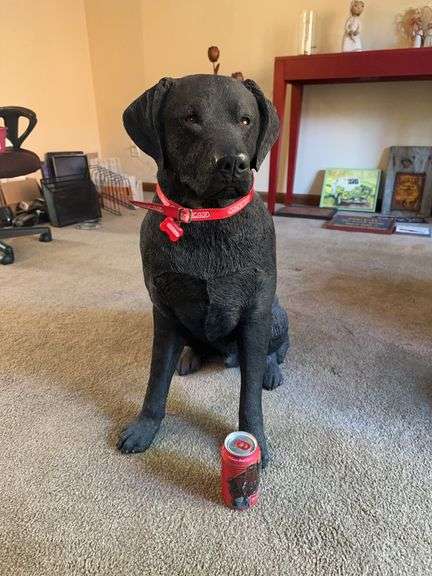 Large SANDICAST labrador retriever dog – 26 inches high