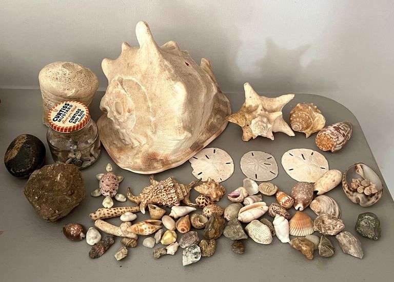 Shelll Stones HUGE Grouping of Shells & Stones - Auction Ohio