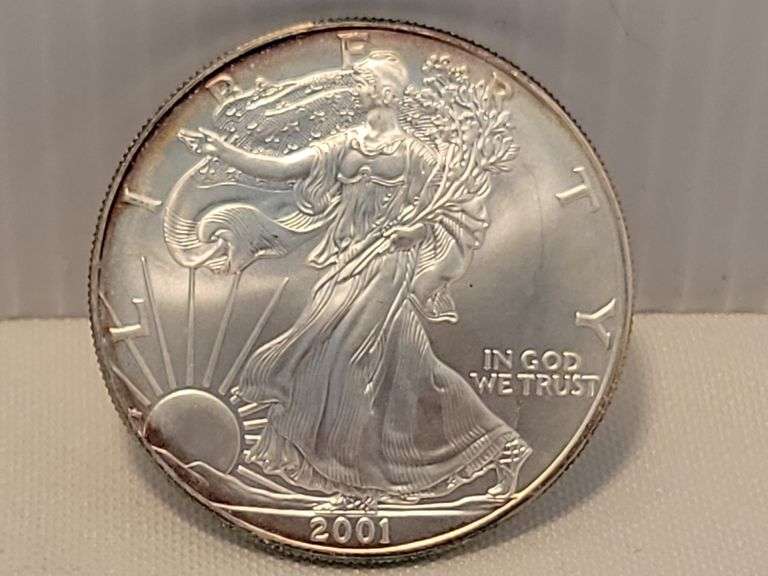 2001 Silver Eagle - BU