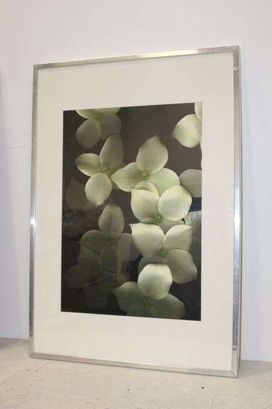 Framed Dogwood Flowers Print
