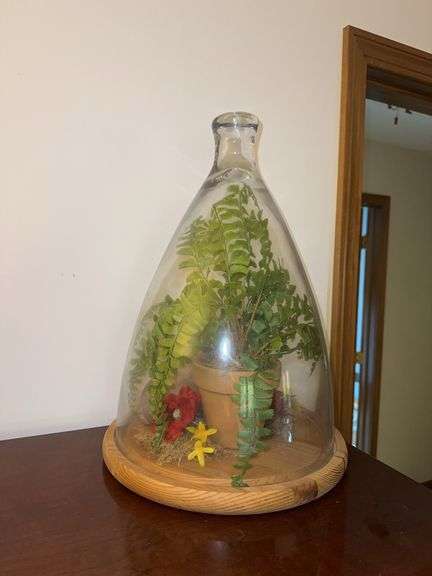 Usually large vintage terrarium