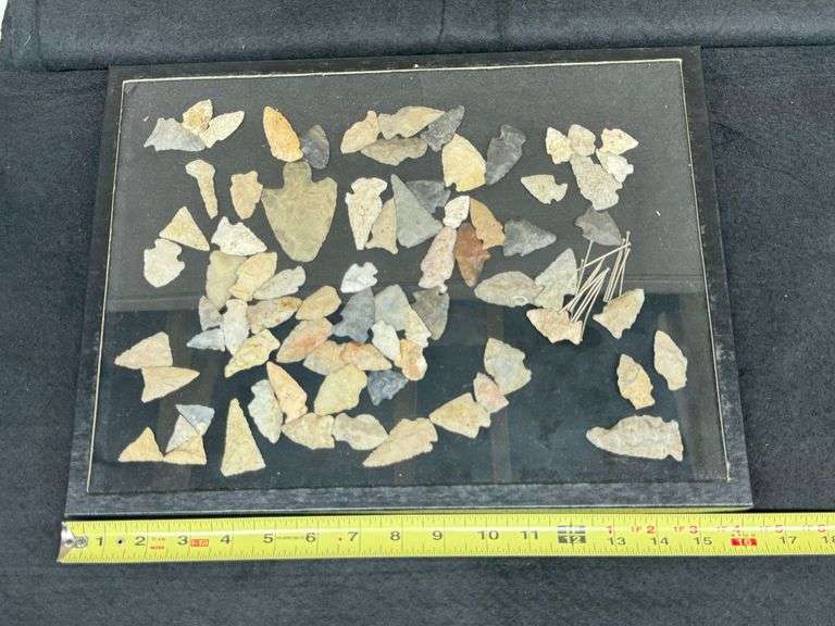 50+ Arrowheads and Projectile Points with Display Case