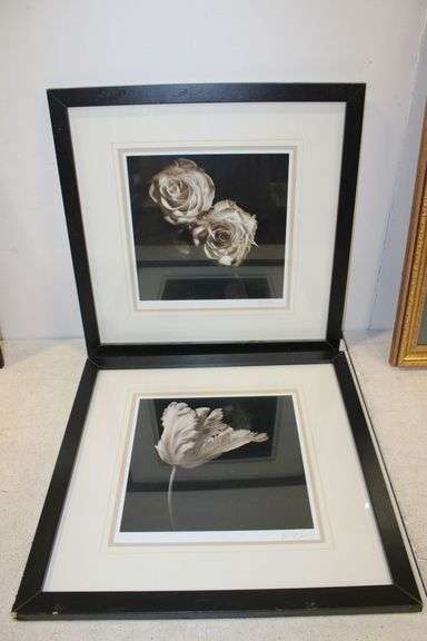 B&W Framed Floral Prints
