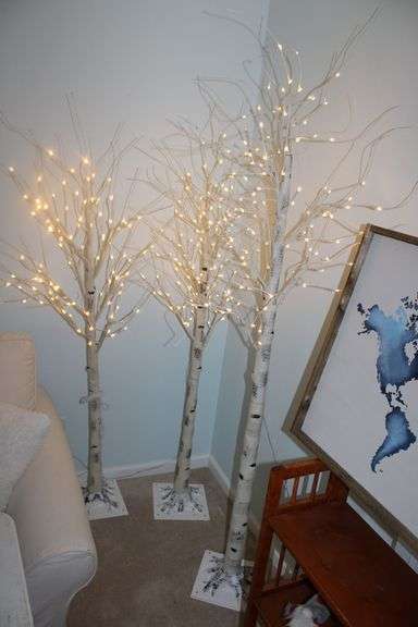 Birch Lighted Trees