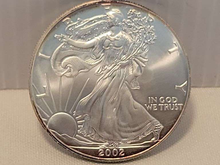 2002 Silver Eagle - BU