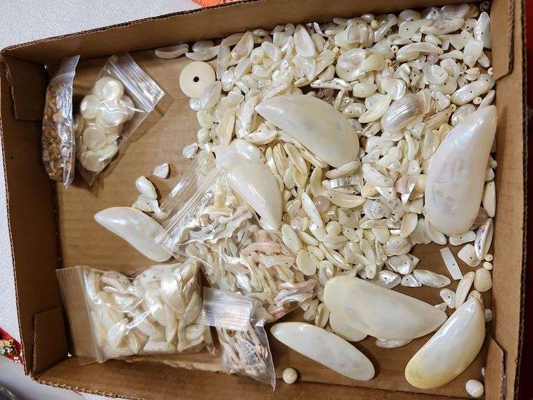 Assorted Shell Like Beads For Jewelry Making