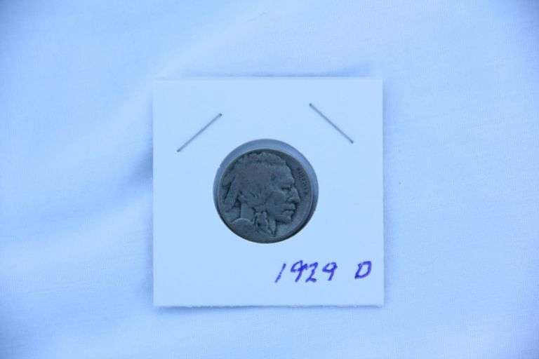 1929 D Buffalo Nickel