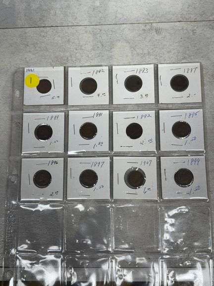 12 Indian Head Pennies, 1881-1907