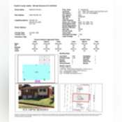 Thumbnail image of Roche Report