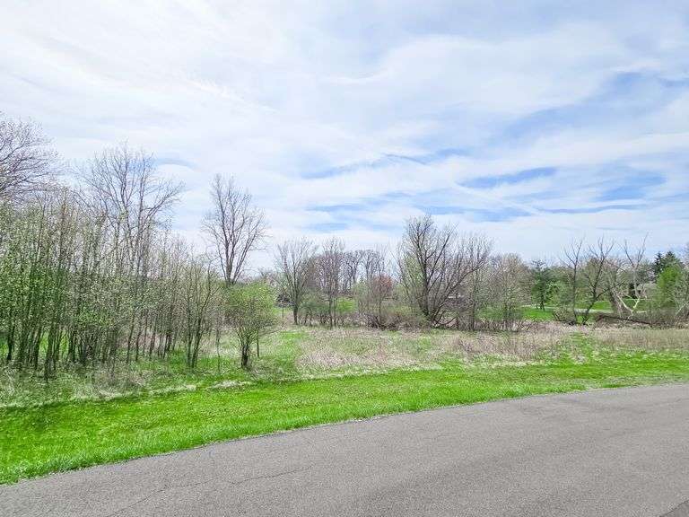Residential Vacant Land - Birkdale St. NW, Canton, OH 44708